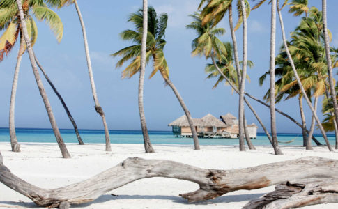 Lyxresor till Gili Lankanfushi och Maldiverna